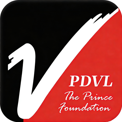 PDVL Verneng International Education Logo